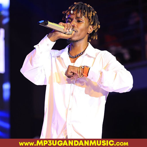 Namutumba - Acidic Vokoz mp3ugandanmusic.com