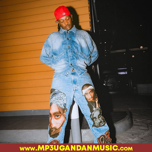 Chaw chaw - Fik Fameica ft Deejay LL