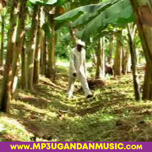 Bamulya asooka - Fred Ssebatta mp3gandanmusic.com