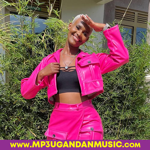 KootiI-Omega 256 x Posha