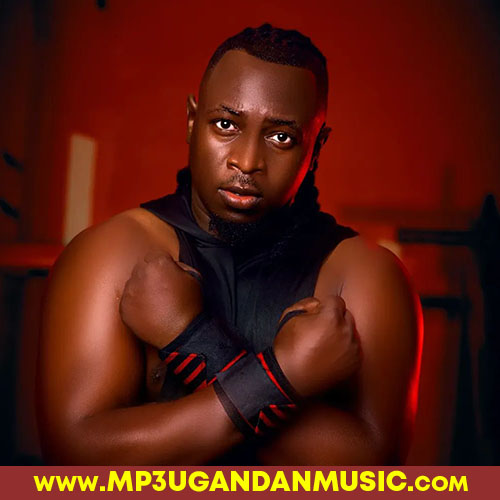 Problem-Vyper Ranking & Nexo Beats