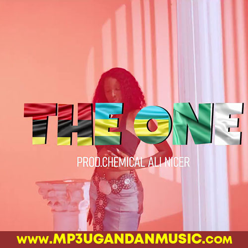 The One-Pallaso x Bruce Melody, Olakira