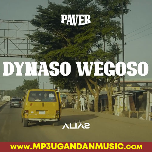 Paver-Dynaso Wegoso