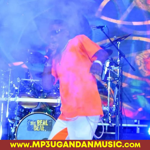 Mr.DJ-Radio & Weasel, Navio, Peter Miles, Viboyo and Swangz Avenue