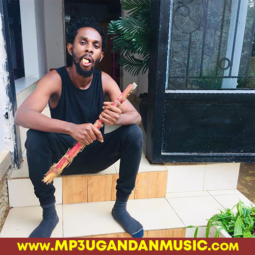 Virgin-Mun G mp3ugandanmusic.com