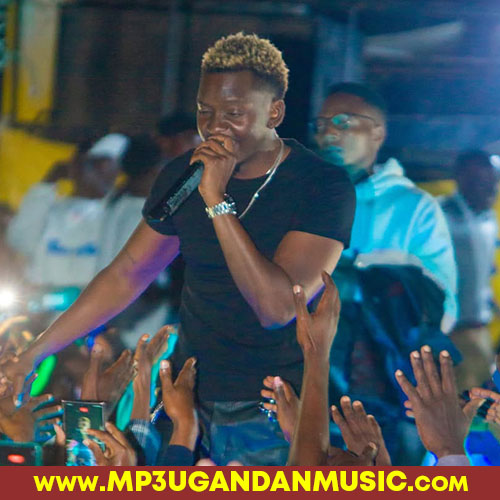 Nuri Nuri - Truth 256 MP3UG Music