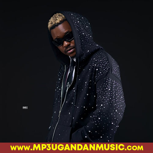 Party - Truth 256 MP3UG Music