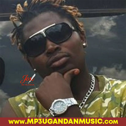 Kawala Kato  Rmix - Master Parrot X Jose Chameleon