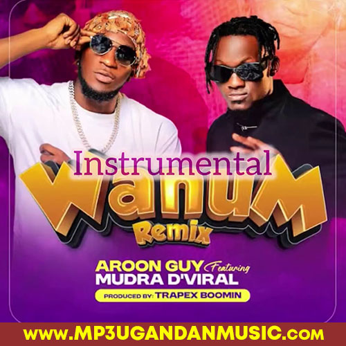 Wanum (Remix) Instrumental - Aroon Guy ft Mudra di viral