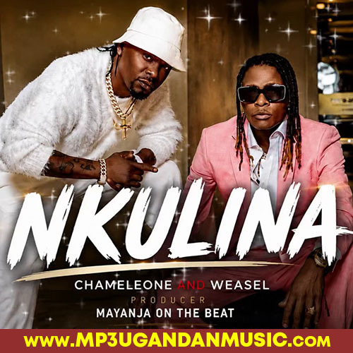 Nkulina - Weasel and Chameleone