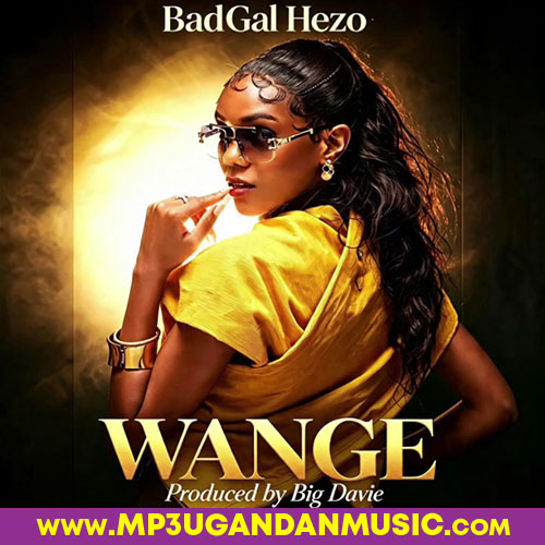 Wange - BadGal Hezo MP3UG Music