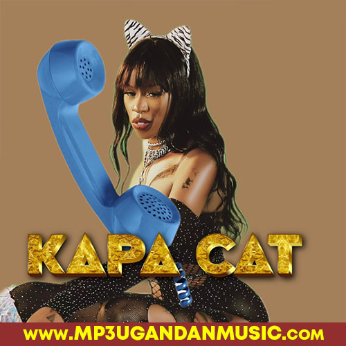 Dansolo - Kapa Cat MP3UG Music