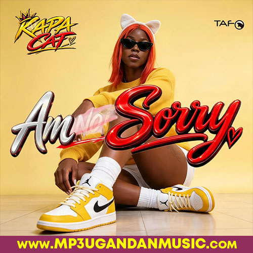 Am not  Sorry - Kapa Cat MP3UG Music