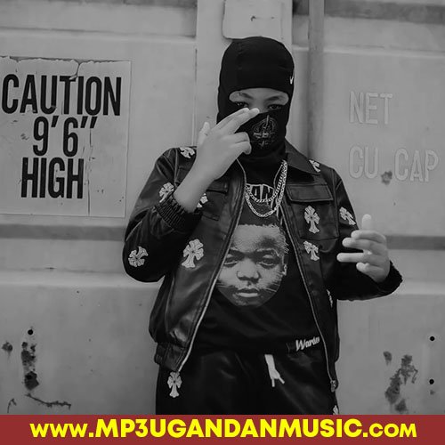 Bulipi - Warden kartel MP3UG Music